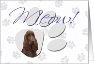 April Fool’s Day Greeting - featuring an Irish Setter card