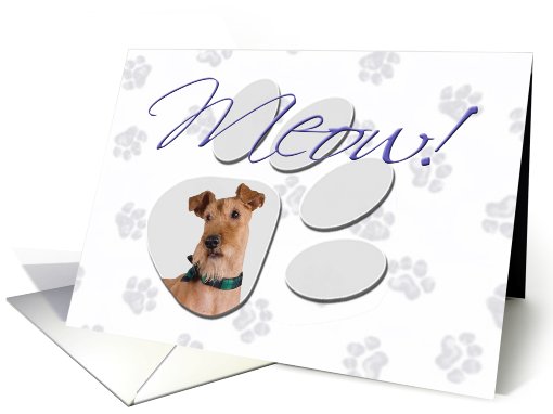 April Fool's Day Greeting - featuring an Irish Terrier card (778662)
