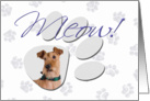 April Fool’s Day Greeting - featuring an Irish Terrier card