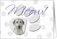 April Fool’s Day Greeting - featuring an Irish Wolfhound card