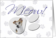 April Fool’s Day Greeting - featuring a Jack Russell Terrier card