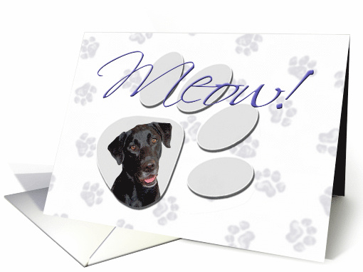 April Fool's Day Greeting - featuring a black Labrador Retriever card