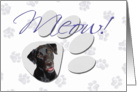 April Fool’s Day Greeting - featuring a black Labrador Retriever card