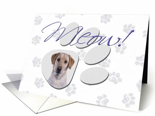 April Fool's Day Greeting - featuring a yellow Labrador Retriever card