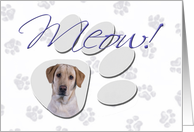 April Fool’s Day Greeting - featuring a yellow Labrador Retriever card