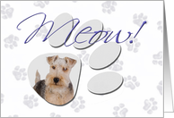 April Fool’s Day Greeting - featuring a Lakeland Terrier card