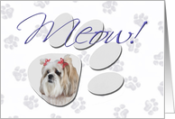 April Fool’s Day Greeting - featuring a Lhasa Apso card