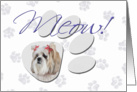 April Fool’s Day Greeting - featuring a Lhasa Apso card