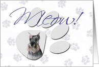 April Fool’s Day Greeting - featuring a Miniature Schnauzer card