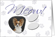 April Fool’s Day Greeting - featuring a Papillon card
