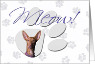 April Fool’s Day Greeting - featuring a Pharaoh Hound card