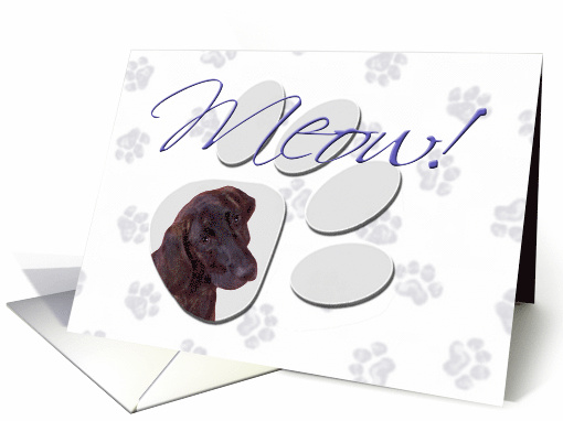 April Fool's Day Greeting - featuring a Plott card (782115)