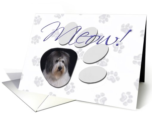 April Fool's Day Greeting - featuring a Polish Lowland Sheepdog card