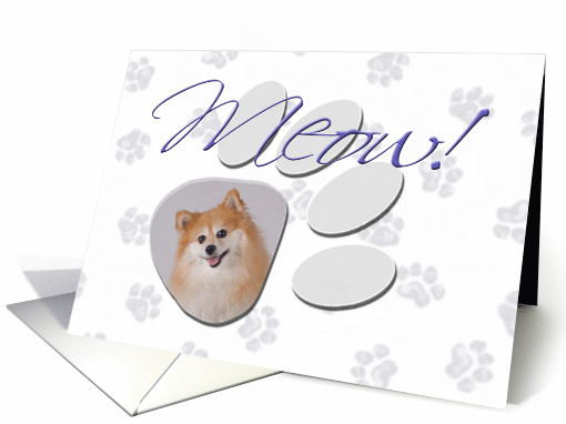 April Fool's Day Greeting - featuring a Pomeranian card (782120)