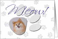 April Fool’s Day Greeting - featuring a Pomeranian card