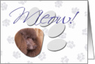 April Fool’s Day Greeting - featuring a brown Standard Poodle card