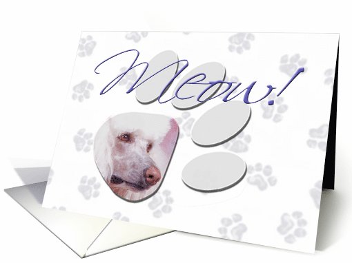 April Fool's Day Greeting - featuring a white Standard Poodle card