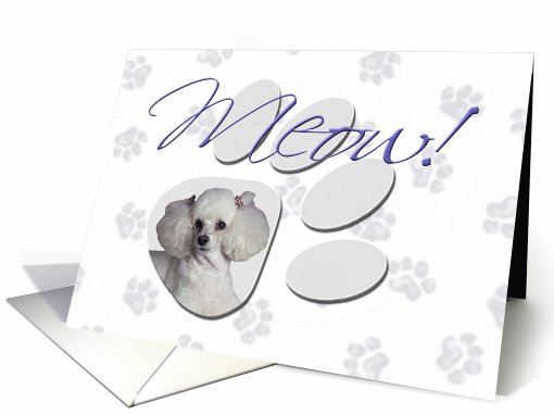 April Fool's Day Greeting - featuring a white Toy Poodle card (782125)