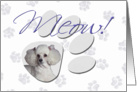 April Fool’s Day Greeting - featuring a white Toy Poodle card