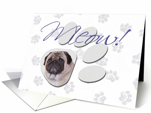 April Fool's Day Greeting - featuring a Pug card (782127)