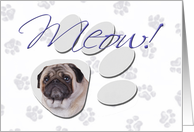 April Fool’s Day Greeting - featuring a Pug card