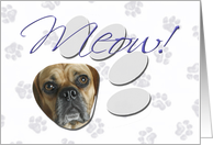 April Fool’s Day Greeting - featuring a Puggle card