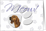 April Fool’s Day Greeting - featuring a Redbone Coonhound card