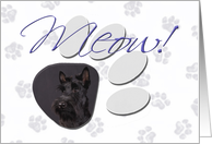 April Fool’s Day Greeting - featuring a black Scottish Terrier puppy card