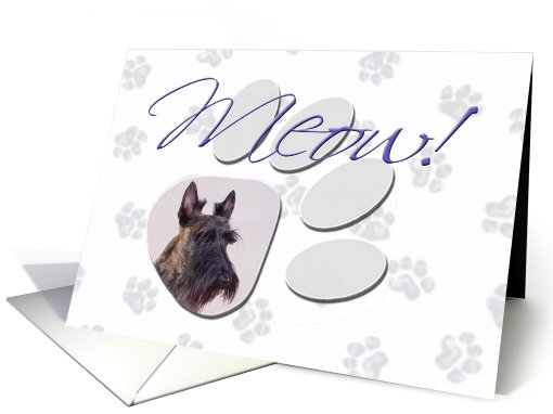 April Fool's Day Greeting - featuring a brindle Scottish Terrier card