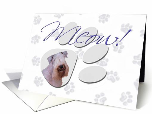 April Fool's Day Greeting - featuring a SealyhamTerrier card (782623)