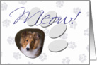 April Fool’s Day Greeting - featuring a sable Shetland Sheepdog puppy card