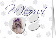 April Fool’s Day Greeting - featuring a Shih Tzu card