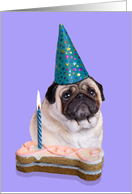 Birthday Card featuring a Pug card