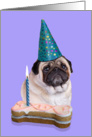 Birthday Card featuring a Pug card