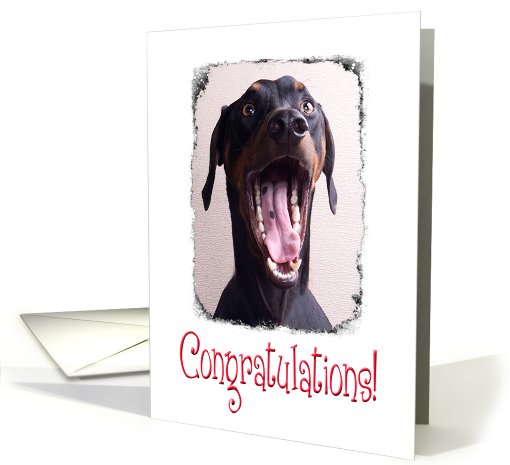 Congratulations on OMF degree - featuring a Doberman Pinscher card