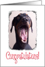 Congratulations on OMF degree - featuring a Doberman Pinscher card