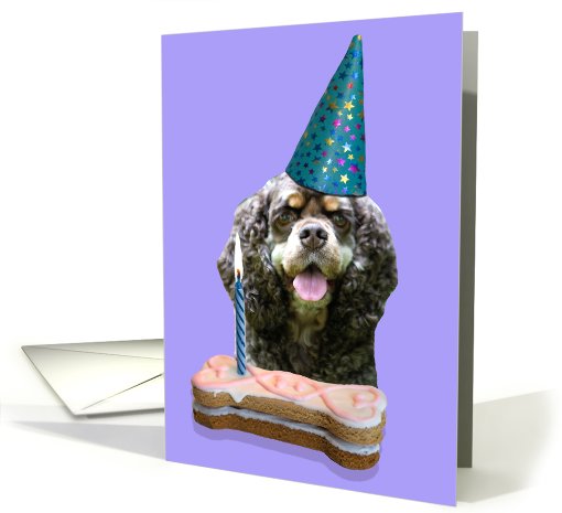 Birthday Card featuring an American Cocker Spaniel card (783706)
