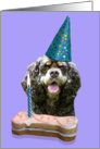 Birthday Card featuring an American Cocker Spaniel card