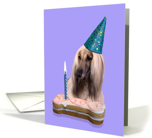 Birthday Card featuring an Afghan Hound card (783708)