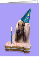 Birthday Card featuring an Afghan Hound card