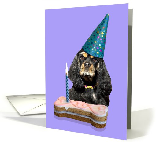 Birthday Card featuring a black/tan/tri American Cocker Spaniel card