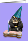 Birthday Card featuring a black/tan/tri American Cocker Spaniel card