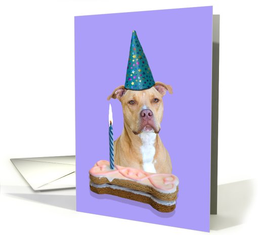Birthday Card featuring an American Staffordshire Terrier card