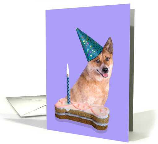 Birthday Card featuring a red Australian Cattle Dog card (783744)