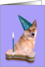 Birthday Card featuring a red Australian Cattle Dog card