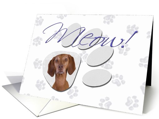 April Fool's Day Greeting - featuring a Vizsla card (783747)