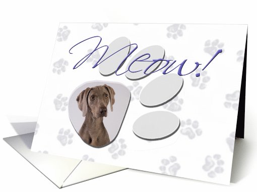 April Fool's Day Greeting - featuring a Weimaraner card (783748)