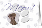 April Fool’s Day Greeting - featuring a Weimaraner card