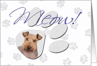 April Fool’s Day Greeting - featuring a Welsh Terrier card