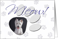 April Fool’s Day Greeting - featuring a West Highland White Terrier card